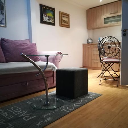 Apartman Galerija Apartment Novi Sad Bagian luar foto