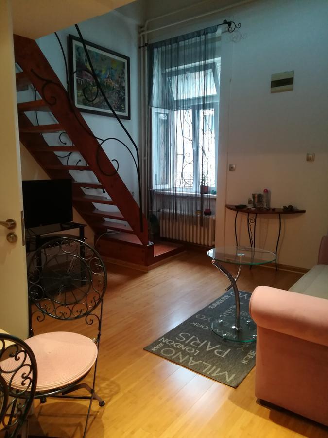 Apartman Galerija Apartment Novi Sad Bagian luar foto