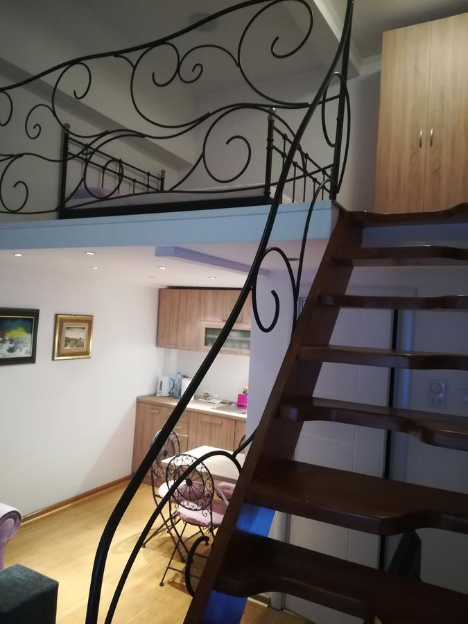 Apartman Galerija Apartment Novi Sad Bagian luar foto