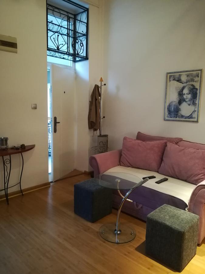 Apartman Galerija Apartment Novi Sad Bagian luar foto