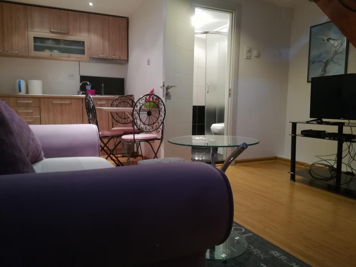 Apartman Galerija Apartment Novi Sad Bagian luar foto