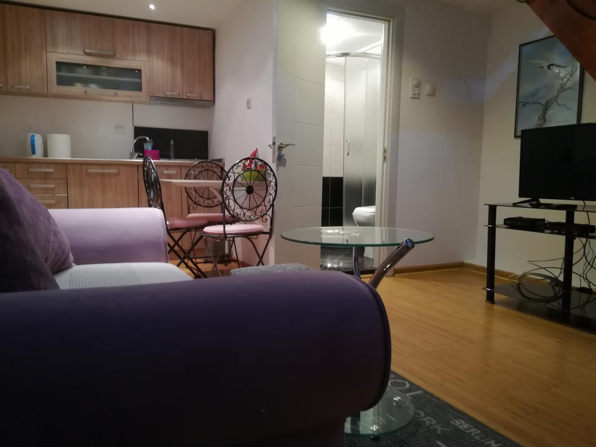 Apartman Galerija Novi Sad Bagian luar foto