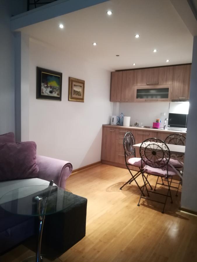 Apartman Galerija Apartment Novi Sad Bagian luar foto