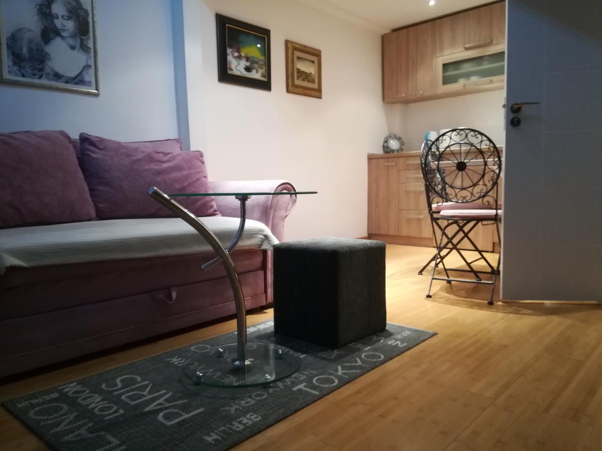 Apartman Galerija Novi Sad Bagian luar foto